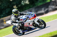 PJ-Motorsport-Photography-2020;anglesey;brands-hatch;cadwell-park;croft;donington-park;enduro-digital-images;event-digital-images;eventdigitalimages;mallory;no-limits;oulton-park;peter-wileman-photography;racing-digital-images;silverstone;snetterton;trackday-digital-images;trackday-photos;vmcc-banbury-run;welsh-2-day-enduro